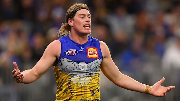 Harley Reid de las Águilas.