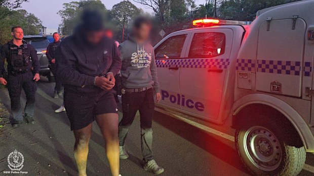 Sydney news: Three more alleged gang members arrested as police seize ...