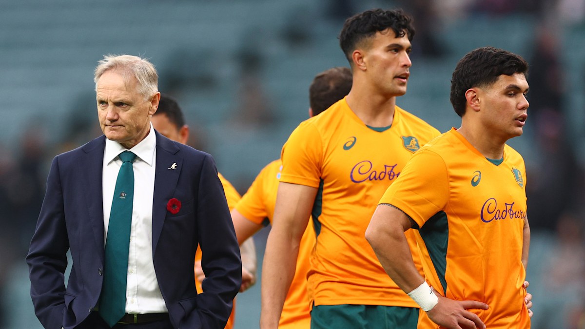 Rugby news 2025: New Wallabies coach search, Joe Schmidt replacement ...