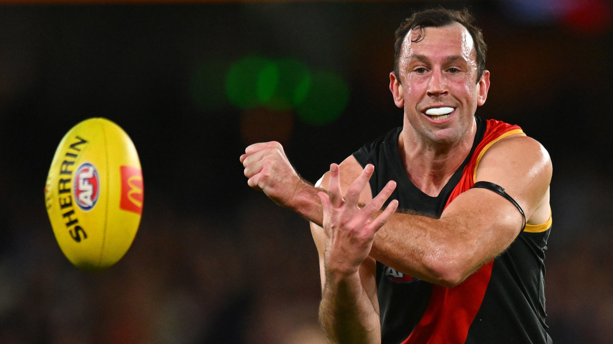 AFL News 2024: Todd Goldstein, E﻿ssendon vs North Melbourne, Brad Scott ...
