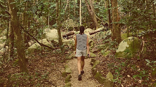 Fitzroy Island
