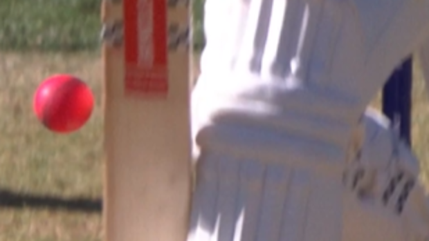 Mitch Marsh's ball that saw him given out.