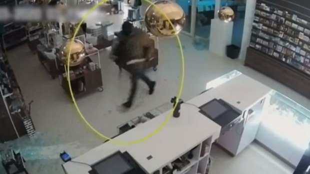 Van Gogh Art theft