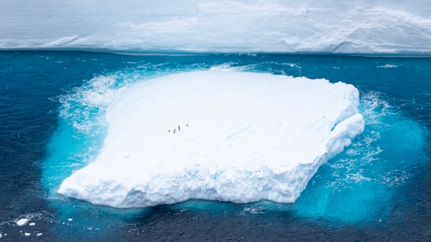 A fragment which had broken off from one of the largest recorded icebergs, called the A68a, floating near the island of South Georgia in the South Atlantic in December 2020.