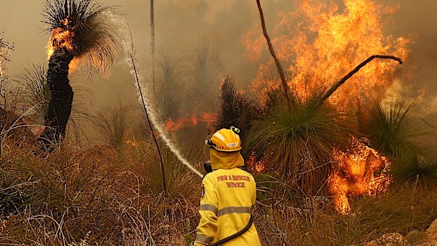 Fire crews control bush fires as they approach properties on Copley Road in Upper Swan on February 02, 2021 in Perth, Australia.