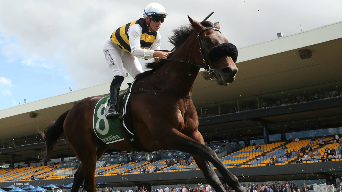 Melbourne Cup dream ends due to irregular heartbeat