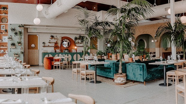 Boozehounds is a dog friendly bar & restaurant located on the north side of Palm Springs, California.
