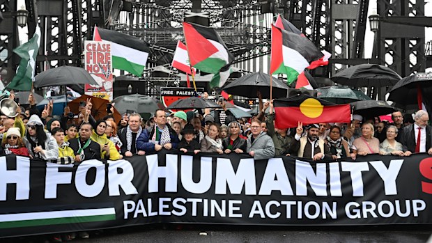 Pro-Palestine protesters march across the Sydney Harbour Bridge to bring attention to the ongoing Israel bombing and aid restrictions to Gaza. 3 August 2025 Photo: Janie Barrett
