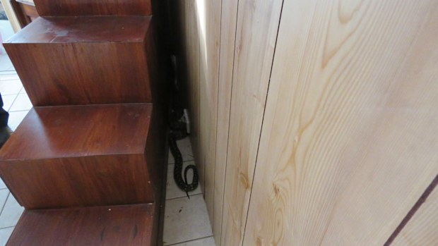 The couple are unsure as to how the snake managed to get into the house. 
