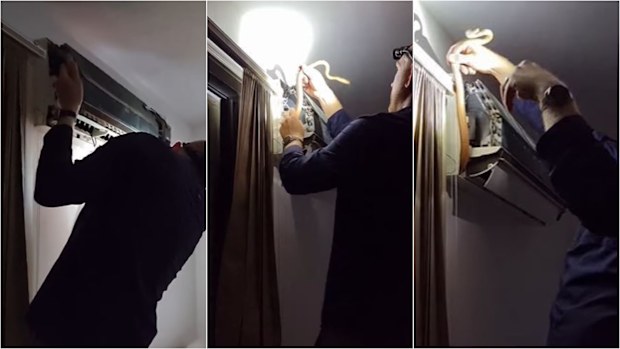 Snakes caught breeding in Queensland family's air-conditioner | Nine.com.au
