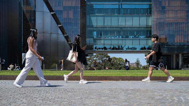 university students