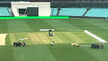 The SCG pitch receives the heavy roller treatment three days out from the Test. 