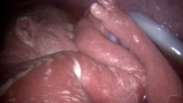 The Canadian Doctor regularly shares incredible facts and vision from pregnancies'. 
