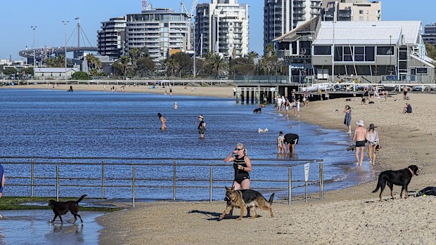 People enjoying a warm sunny morning at the Albert Park beach on an extreme hot day in Melbourne. 7 January 2026. Photo: Eddie Jim.