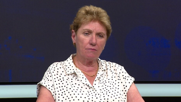 Brendan's twin sister Fiona issued a plea for information about her brother's disappearance.