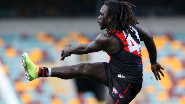 Essendon's Anthony McDonald-Tipungwuti kicks the ball.