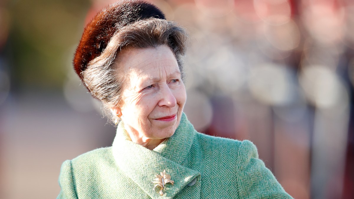 Princess Anne named hardest working member of the British royal family ...