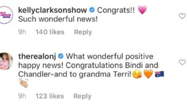 Bindi Irwin, Chandler Powell, pregnancy, baby announcement, celebrities, reaction, well wishes, messages, Instagram