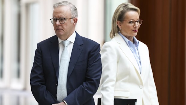 Prime Minister Anthony Albanese and Opposition leader Sussan Ley during the presentation of the Speaker to the Governor-General, during the opening of the 48th Parliament at Parliament House in Canberra on Tuesday 22 July 2025. fedpol Photo: Alex Ellinghausen