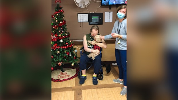 Nurse goes above and beyond to rescue patient's dog.