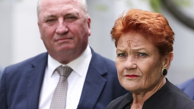 Member for New England Barnaby Joyce and One Nation leader Senator Pauline Hanson during a press conference at Parliament House in Canberra on Monday 19 January 2026. fedpol Photo: Alex Ellinghausen