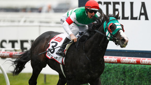 Mer de Glace is one of the favourites to win the Melbourne Cup.