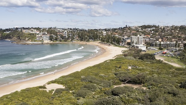 Three shark drumlines were set at Dee Why yesterday morning.