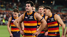 Darcy Fogarty