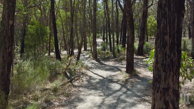 The tracks where Samantha Murphy regularly ran. Mineshafts are dotted throughout the bush but locals know not to leave the paths.