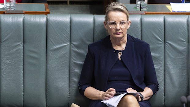 Deputy Liberal Leader Sussan Ley during Question Time on Thursday 3 August 2023.