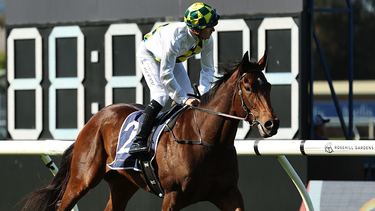 Horse racing news 2025: Three-time Group 1 winner Sunshine In Paris ...