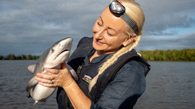 Amy Smoothey shark tagger