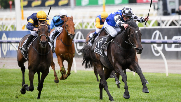 Gold Trip ridden by Mark Zahra wins the Lexus Melbourne Cup.