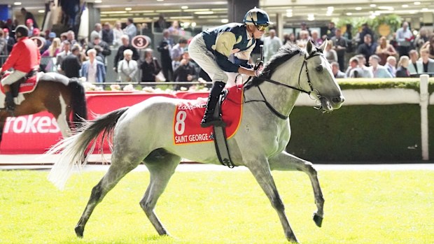 Saint George in the Ladbrokes Moonee Valley Gold Cup.