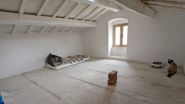 An Aussie couple who have snapped up multiple dirt cheap homes in Italy are now helping others follow their dreams of buying property in the European nation.Aden and Fiorella Rossinni swapped Brisbane for a small town in the Molise region of Italy almost two years ago.