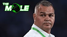 Anthony Seibold The Mole