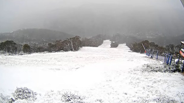 Snow falling at Thredbo in New South Wales