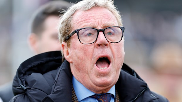 Harry Redknapp watches his horse The Jukebox Man.