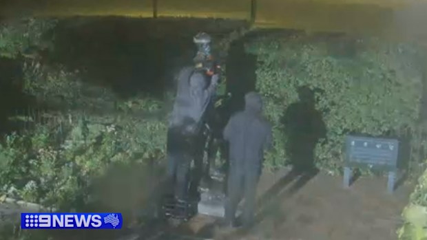 Police believe two vandals spray-painted Captain Cook's cottage, before attempting to remove the head of the statue, which stands in the gardens, with an angle grinder.