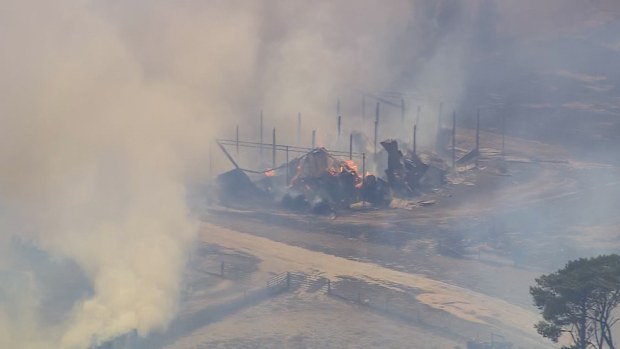 Longwood Bushfire