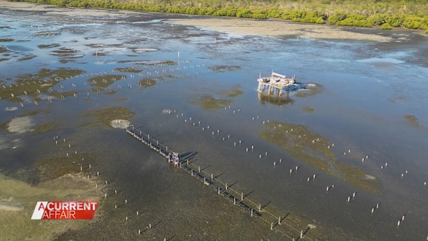 About 600 dozen mature oysters, worth about $12,000 had been nicked straight from the lines of the company's farming lease off Stradbroke Island in Brisbane's Moreton Bay.