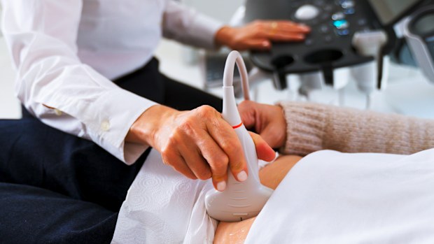 Ultrasound scanning of intestines, abdominal cavity, right lobe, liver, bile ducts, gallbladder