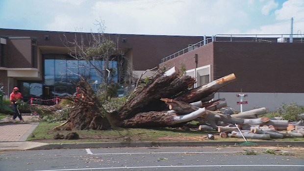 Residents in South Australia are recovering after two small tornadoes battered parts of Adelaide yesterday evening.