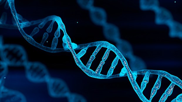 DNA genetics science chromosomes DNA strand