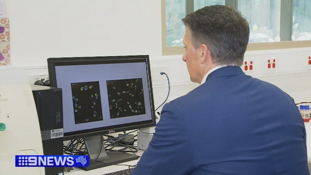 Researchers found combining immunotherapy with the existing drug, called Paxalisib, helped to rewire dormant cancer cells, making them visible to the immune system to help it fight the disease.