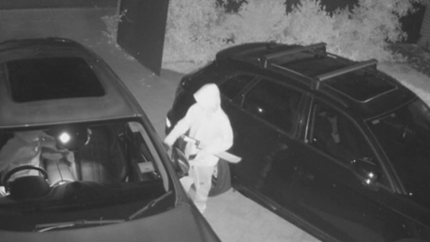 Retail theft, motor vehicle theft and theft from a motor vehicle are the key drivers of crime, according to the data.
