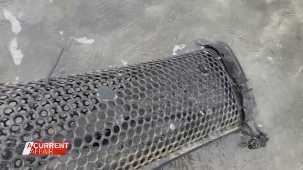 About 600 dozen mature oysters, worth about $12,000 had been nicked straight from the lines of the company's farming lease off Stradbroke Island in Brisbane's Moreton Bay.