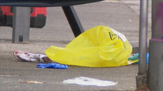 Forensic analysts collected blood-stained clothing from the scene.