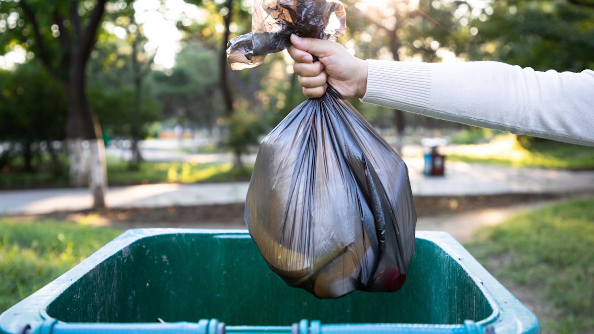 Is it ever OK to put your garbage in your neighbour's bin? Most Aussies ...