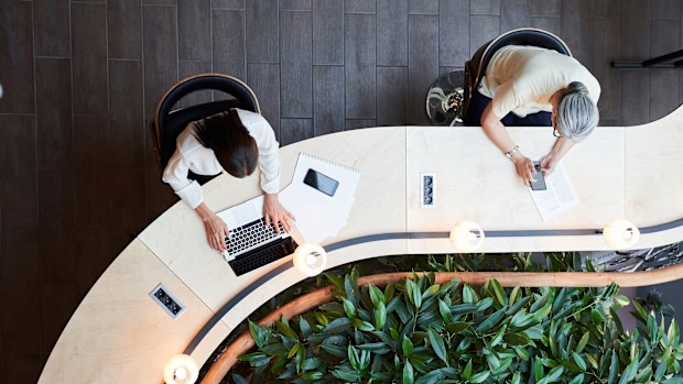 Young brunette woman and a senior lady using their devices while sharing a desk and keeping social distance office